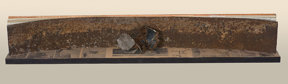 Fragilidad descripcion