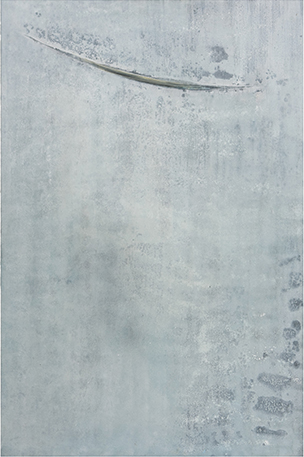 Angel Pajaro descripcion